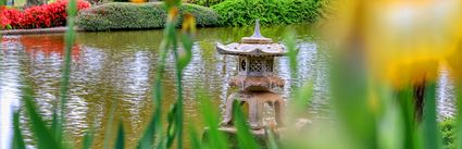 Japanese Garden - Cowra 